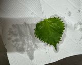 A picture of step 2 of Japanese Shiso Onigiri (Rice Ball)🍙.