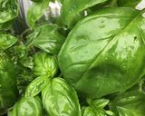 A picture of step 7 of Ridiculously quick and easy tomato soup with basil oil.
