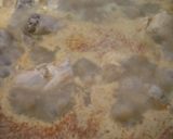 Foto langkah ke 5 dari resep Gulai Ayam Satset.