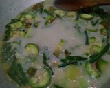 Foto langkah ke 10 dari resep 058. Sayur lodeh.