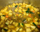 Foto del paso 4 de la receta: Lentejas al curry con verduras y manzana en olla a presión