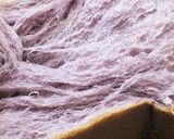 Foto langkah ke 15 dari resep Killer Toast Hokkaido Milk Taro (bubuk Ubi Ungu) Super SOFT.
