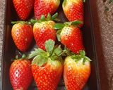 A picture of step 2 of Coco Choco Strawberries.
