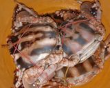 A picture of step 1 of Crab malai curry.