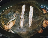 Foto del paso 2 de la receta: Rodaballo al horno