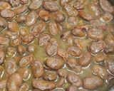 Foto del paso 15 de la receta: 159. Habas con chocos