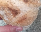 Foto del paso 10 de la receta: Baguettes sin gluten