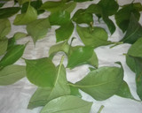 Foto del paso 1 de la receta: Paparajotes de Murcia
