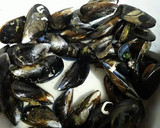 Foto del paso 2 de la receta: Arroz caldoso de mejillones salvajes y judías verdes