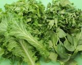 A picture of step 1 of Sarson Ka Saag { Winter Special }.