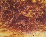 صورة لخطوة 4 من وصفة خبز 🍞 الدار الجزائري 🇩🇿