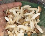 Foto langkah ke 1 dari resep Tumis Jamur Pakcoy Wortel.