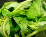 Hình bước làm 2 của món Rau xào tôm nõn