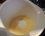 Foto del paso 4 de la receta: Tarta de queso Light (al Horno)