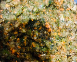 Foto del paso 6 de la receta: ⭐️BUDÍN DE BERENJENAS🍆 O ⭐️PAN DE BERENJENAS🍆 (sin harinas totalmente de vegetales)🍆🥕🫑🍆🌶🧅🥕