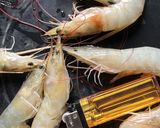 Foto langkah ke 1 dari resep Udang saos asam manis suimple.