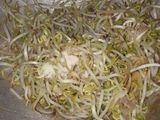 Tumis Kecambah