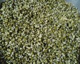 A picture of step 1 of Sprouts chaat.