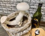 รูปขั้นตอนการทำที่ 1 ของ หอยเชลมังสวิรัติ(Milky Mushroom)ย่างราดซอสเทอริยากิพริกกระเทียม