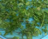 A picture of step 3 of Dry Mint.