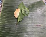Foto langkah ke 4 dari resep 25. Gadon Daging Sapi.