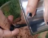 चोको बिस्कुट बॉल्स (Choco biscuit balls recipe in hindi) रेसिपी चरण 1 फोटो