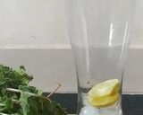 રીફ્રેસિંગ ડ્રિન્ક (Refreshing Drink Recipe In Gujarati) રેસીપી સ્ટેપ2ફોટો