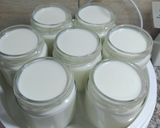 Foto del paso 2 de la receta: ~Yogurt griego~