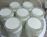Foto del paso 2 de la receta: ~Yogurt griego~