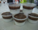 Foto langkah ke 5 dari resep Puding susu coklat regal.