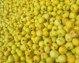 عکس مرحله 1 از دستور کیالک 😍😋😋😍