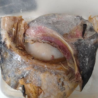 Langkah 1