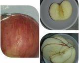 A picture of step 6 of Apple rose flower.