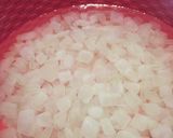 Foto langkah ke 6 dari resep (27) Nata de Aloe Vera (Lidah Buaya).