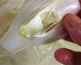 Foto del passaggio 2 della ricetta Finocchi aglio olio e peperoncino