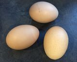 Une image de l'étape 3 de Quiche allégée sans pâte.