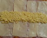 Foto del paso 5 de la receta: Pan de carne