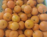 صورة لخطوة 1 من وصفة عصير البرتقال المنعش 🍊🍊🍊🍊
