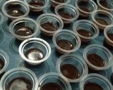 Foto langkah ke 2 dari resep Puding susu coklat kribo.