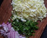 A picture of step 2 of Veg Pan Fried Momos.