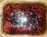 Kakaós, almás süti recept fázis 5 fotója