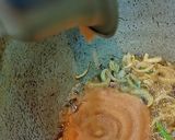 ऑमलेट अंडा करी (omelette anda curry recipe in Hindi) रेसिपी चरण 4 फोटो