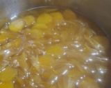 Foto del paso 6 de la receta: Cascaritas de Pomelo y Rodajas de Batata en Almíbar