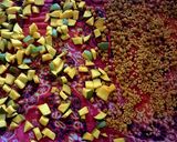 A picture of step 3 of Chana Methi Mango Pickle.