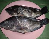 Foto langkah ke 1 dari resep Resep Pepes Ikan Nila Khas Sunda.