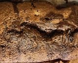 Foto del paso 7 de la receta: Budín marmolado 🍫