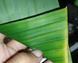 Foto langkah ke 3 dari resep Lupis Ketan.