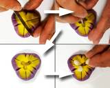 Nerikiri Wagashi: "菖蒲 Shobu （Iris）" recipe step 8 photo