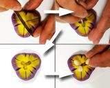 A picture of step 8 of Nerikiri Wagashi: "菖蒲 Shobu (Iris)".