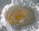 Foto del paso 2 de la receta: Torta de 80 golpes